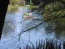 Golden Gate Park has several ponds and lakes.  The best is Stow Lake where one can rent a row or peddle boat for a relaxing time out.